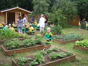 Allotment Summer